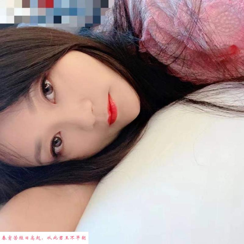 西湖区燕子 第1张