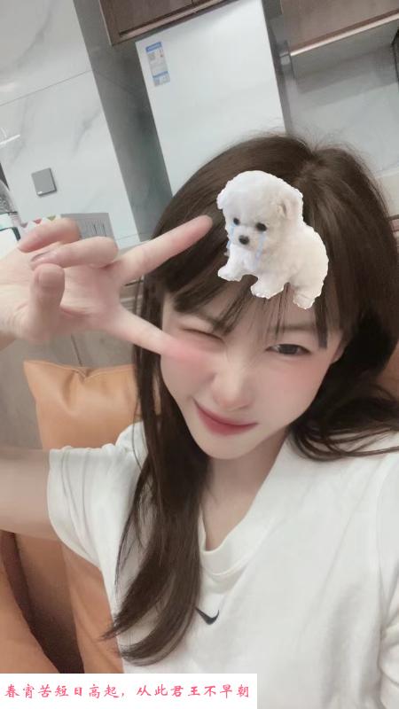 宝安颜值美女 第2张
