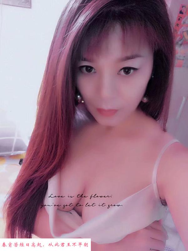 铁西少妇 第1张