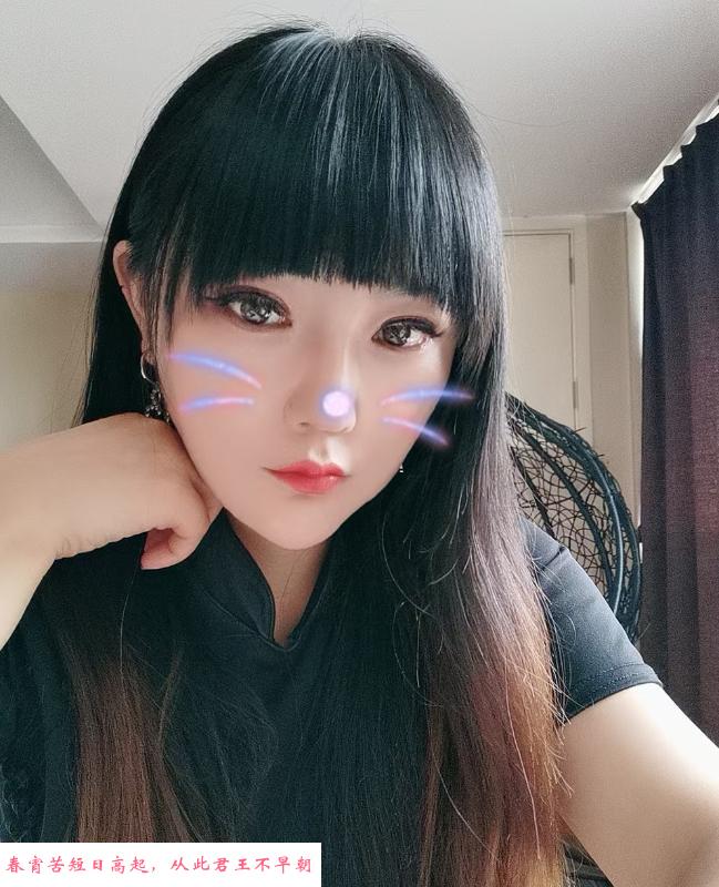 天鹅湖如烟 第1张