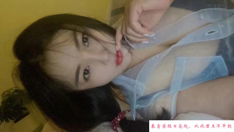 温柔小白兔 第3张