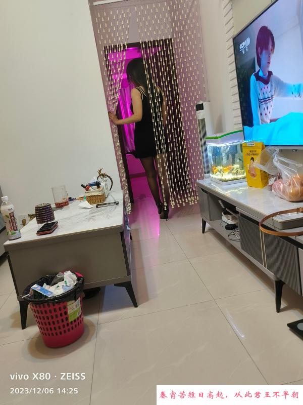 罗湖大奶陆香 第3张
