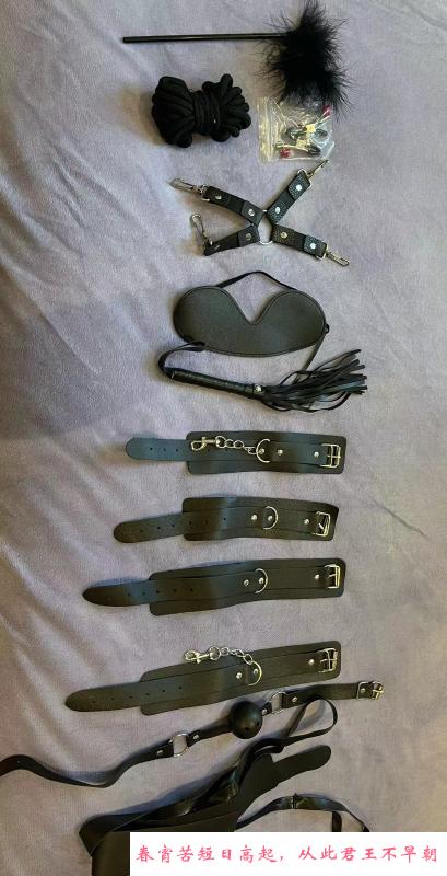 调教女王女奴 第2张