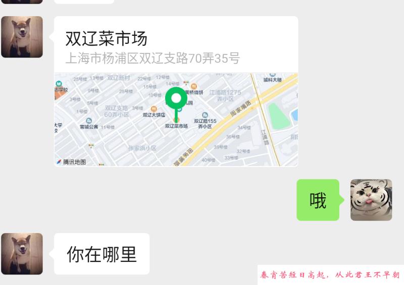 杨浦双辽熟女 第2张