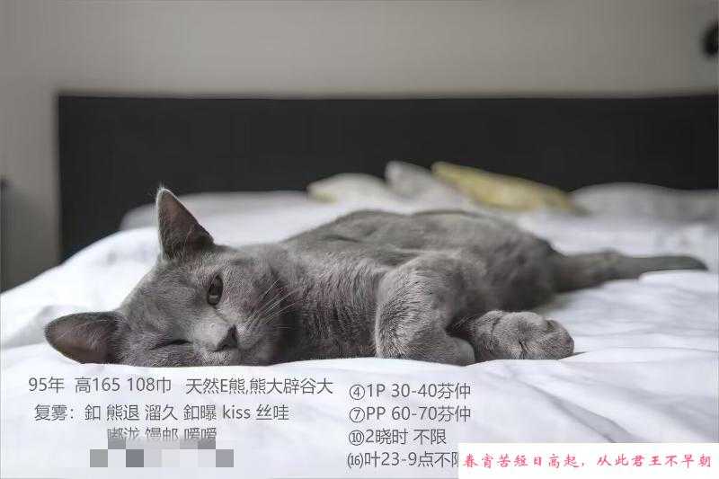 南京浮桥小美 第2张
