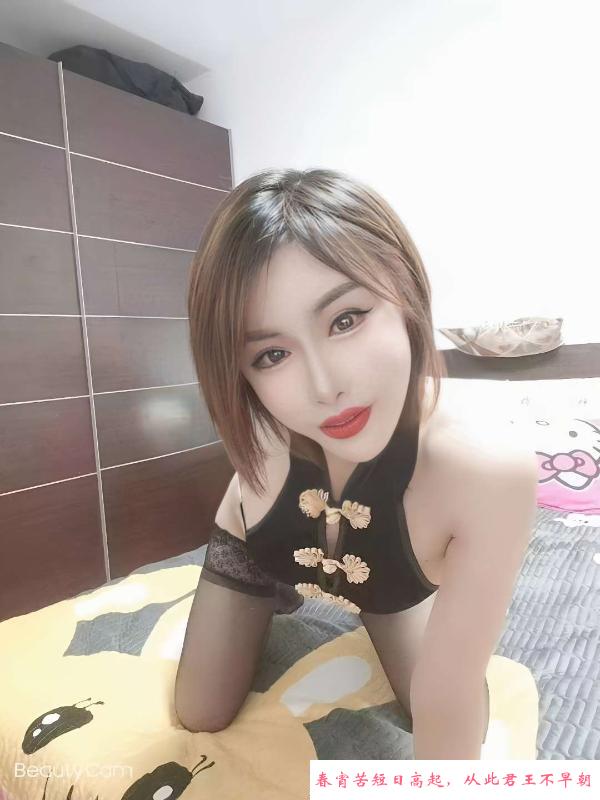 河东小骚货晴子 第1张