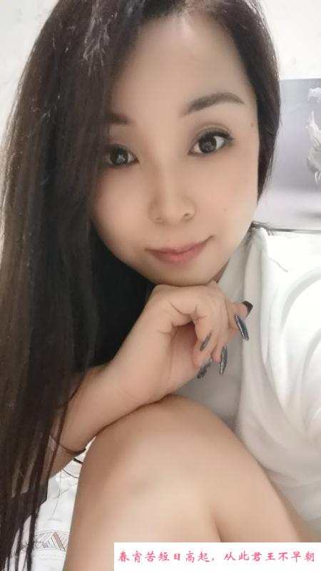 北辰区小燕子 第1张