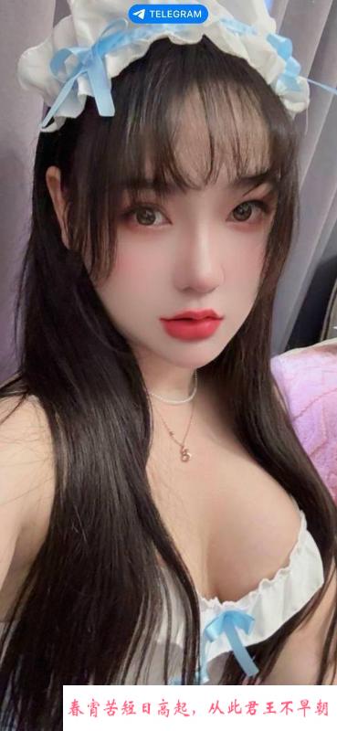 普陀小野猫 第3张