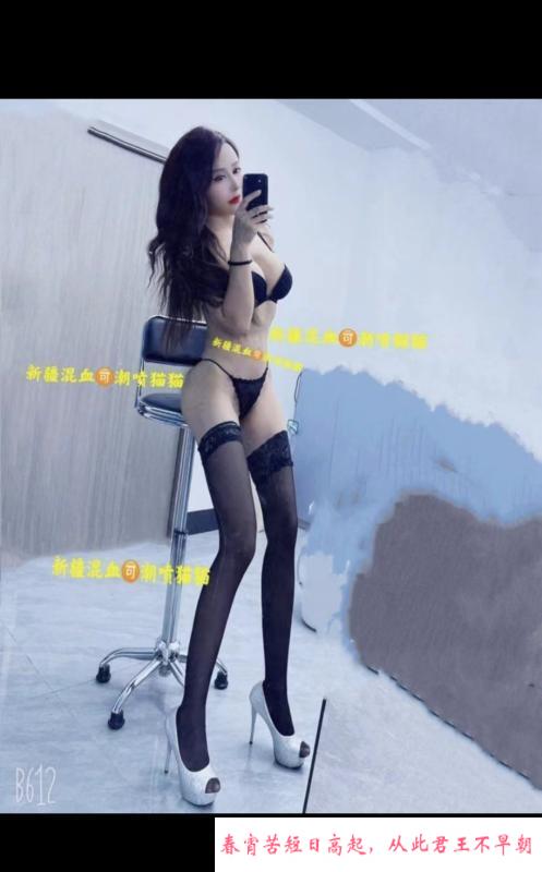 南湖猫猫 第2张