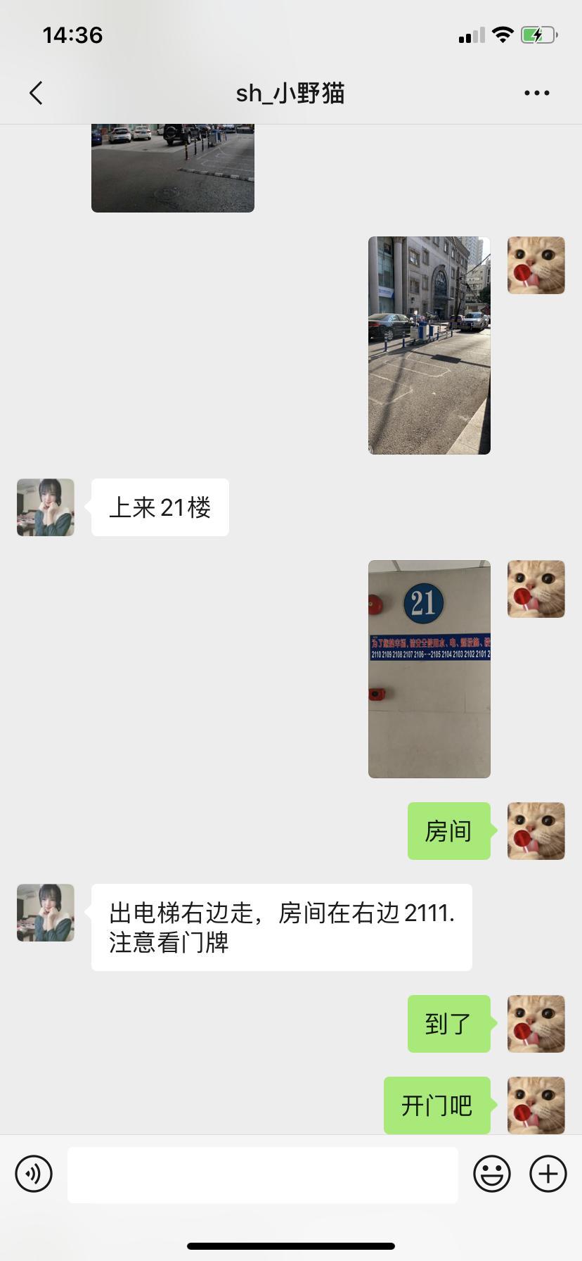 服务很好很温柔的小野猫 第4张