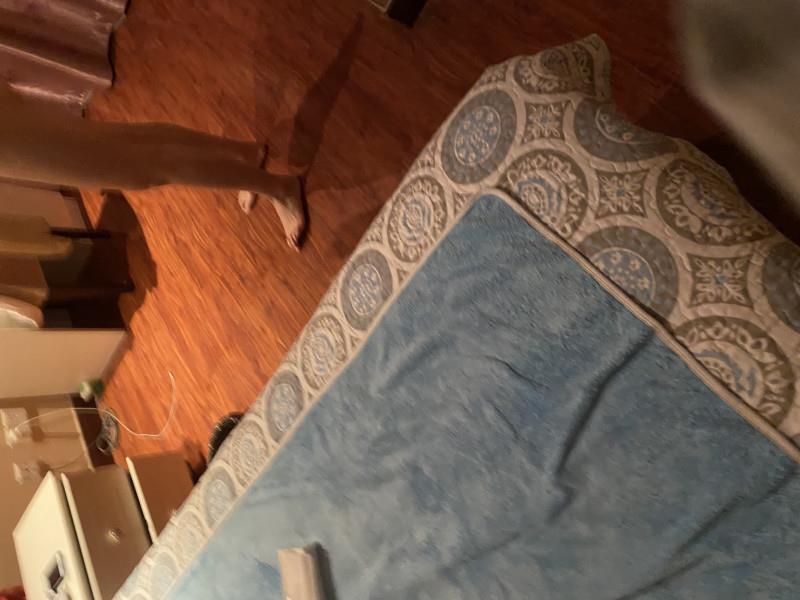 长腿模特小姐姐 第3张