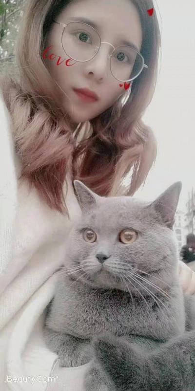 南京猫猫妹子 第1张