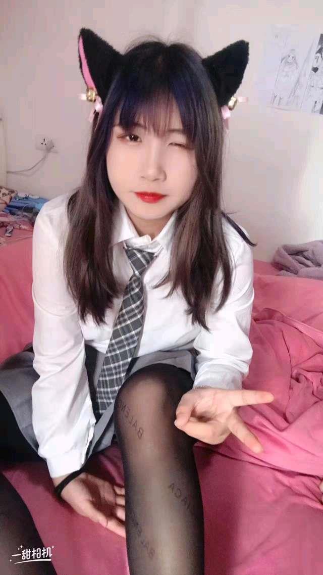豆豆 第1张