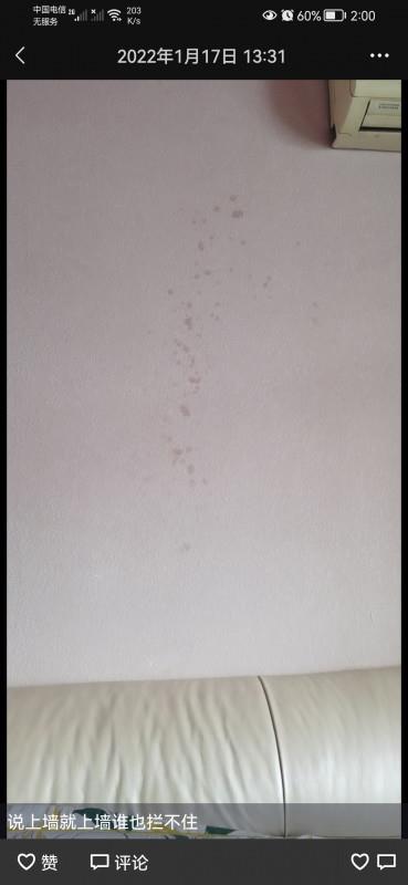 体验喷水小宝 第1张